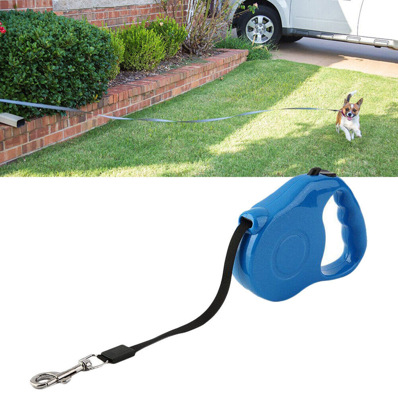 Pet Dog Cat Puppy Automatic Retractable Traction Rope Walking Lead Leash