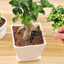 3 Piece Set Mini Garden Shovels and Claw Tool with Wooden Handles Newly