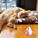 #A Funny Balance Car Wear-resistant Interactive Game Creative for Home Pet Suppl