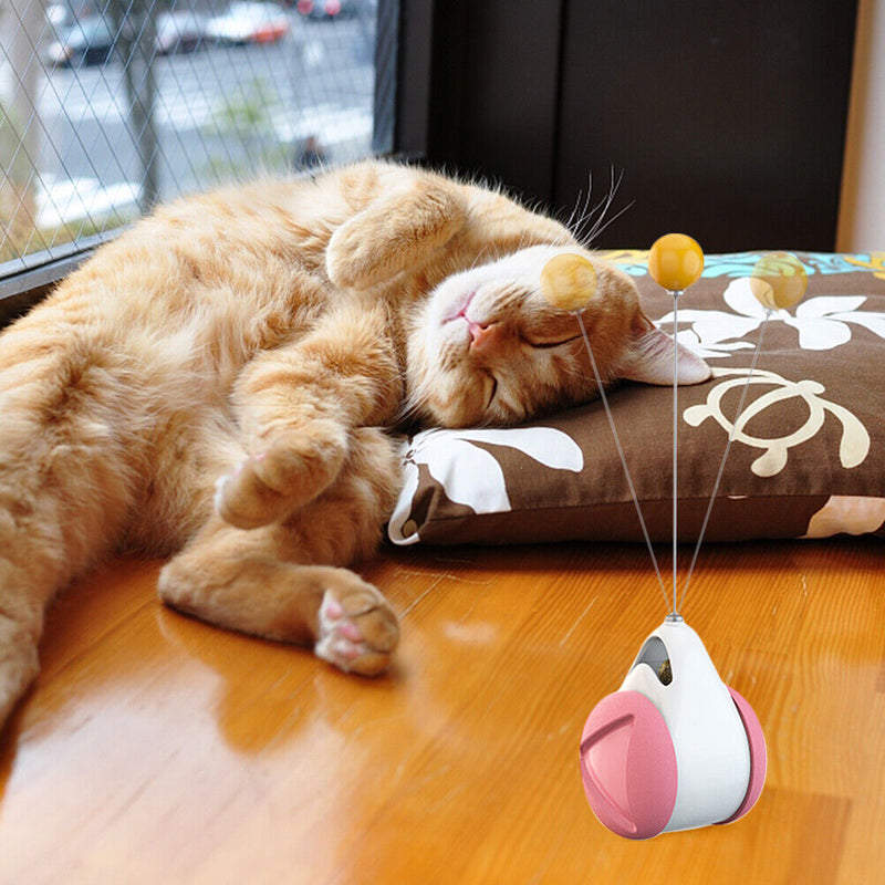 #A Funny Balance Car Wear-resistant Interactive Game Creative for Home Pet Suppl