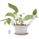 100Pcs Waterproof Plastic Nursery Garden Plant Label Flower Tag Mark 4.5*3