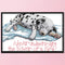 Full/Partial Cross Stitch Cotton Dog 14CT Handiwork DIY Stamped Wall Craft Kit