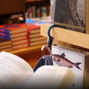 Lightweight D-Shaped Camping Carabiner Aluminum Alloy Lock Hook Ring Sc