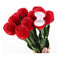 Wedding Valentine's Flower Red Rose Display Ring/Earrings/Pendant Jewelry Box