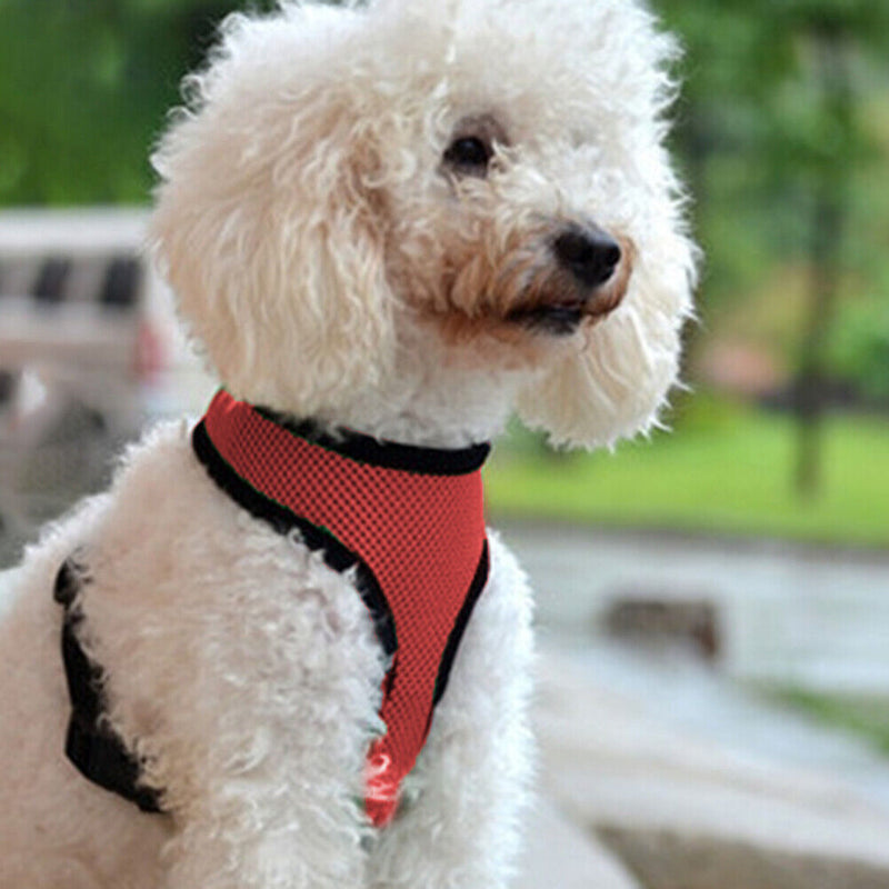 #A Reflective Cat Dog Collar Harness Comfortable Harness Collar for Outdoor Walk