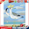 Captain Seagull Oil Paint By Numbers Kits Canvas Picture Wall Art DIY Craft