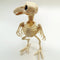 Crazy Bone Skeleton Raven Plastic Animal Skeleton Bones Horror Halloween Decor`