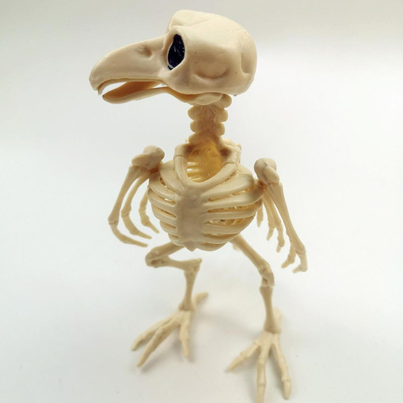 Crazy Bone Skeleton Raven Plastic Animal Skeleton Bones Horror Halloween Decor`