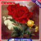 DIY-5D Diamond Embroidery Red Rose Floral Cross Stitch Wall Decor