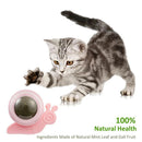Cat Catnip Rotating Ball Cleaning Teeth Molar Interactive Pet Toys (Pink)