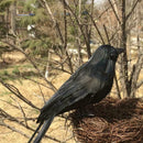 2Pcs Simulation Crow Black Crow Props Feather Birds Home Horror Decor J2Z2