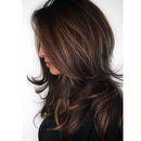 No Lace Front High Temperature Silk Long Straight  Wig Dark Brown Women Wig