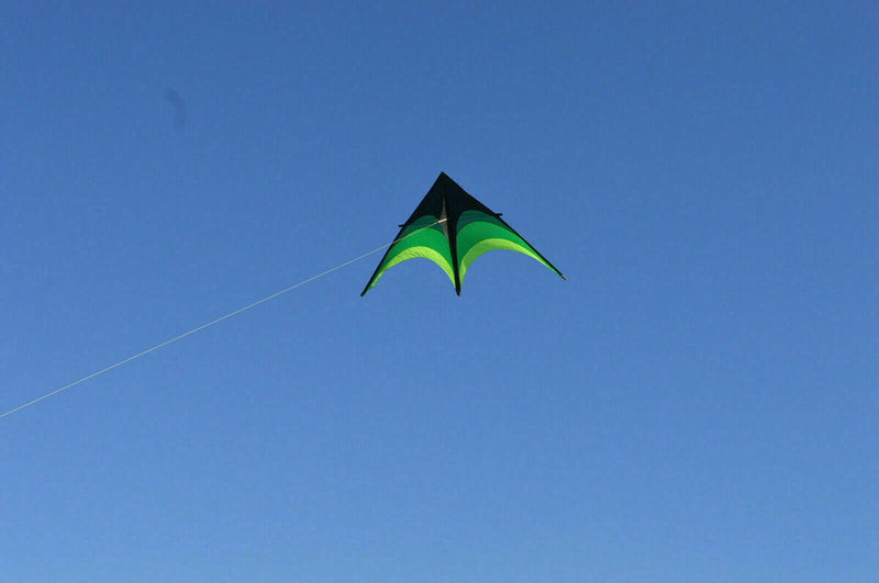 Large Delta Kite For Kids And Adults Single Line Easy Kite w Fly Handle To S9S8