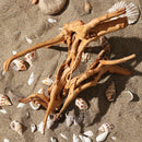 Decoration Driftwood Tree Trunk Fish Tank Driftwood Aquarium Decoration