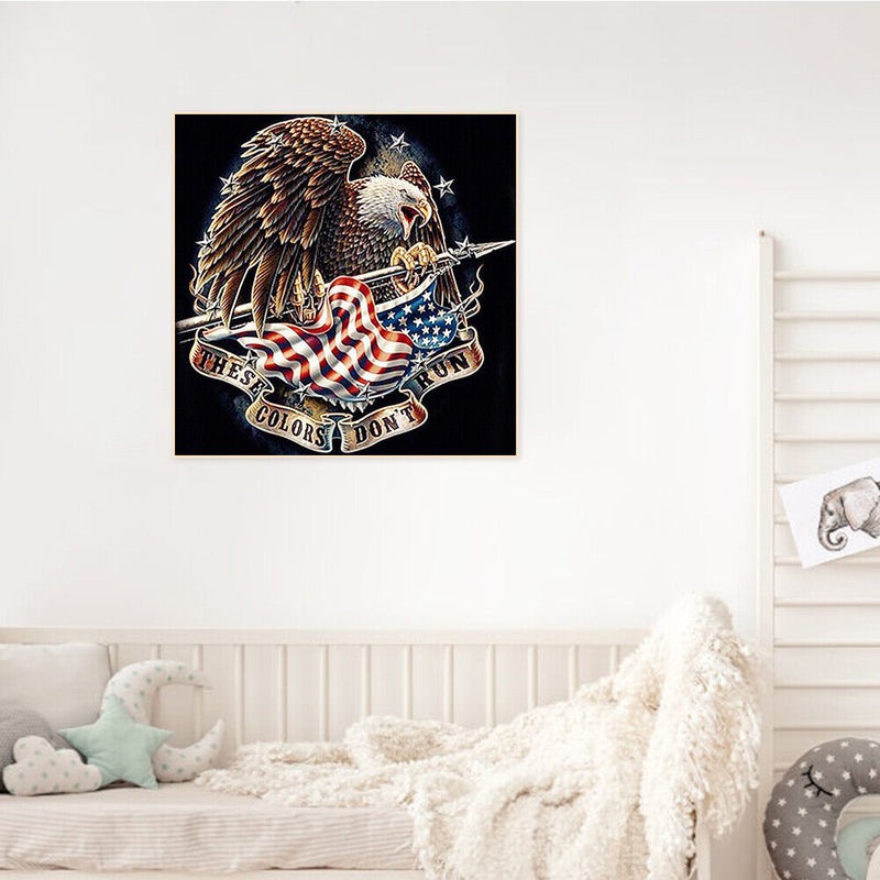 Eagle and Flag Frameless Oil Paint by Numbers Kit DIY on Canvas Picture Art