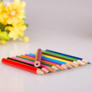 12 Colors Wooden Colorful Pencils Secret Garden Theme Coloring Pen Art Tool
