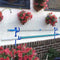 2PCS Plastic Holder Skimmers Pool Pole Hanger Garden Z0F6 Tools Hose Vacuum T2K6