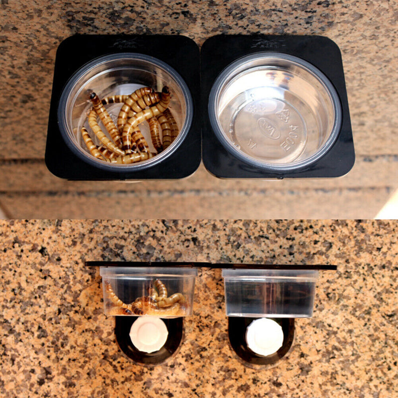 Reptile Dual Purpose Water Food Pot Gecko Bread Insect Feeding Bowl (B)