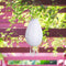 Solar LED Lantern Waterproof Round Tree Hanging Garden Festival Light (B)