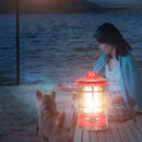 Portable Camping Lights Haning Hook Powerful Lantern Type-C Charging for Camping