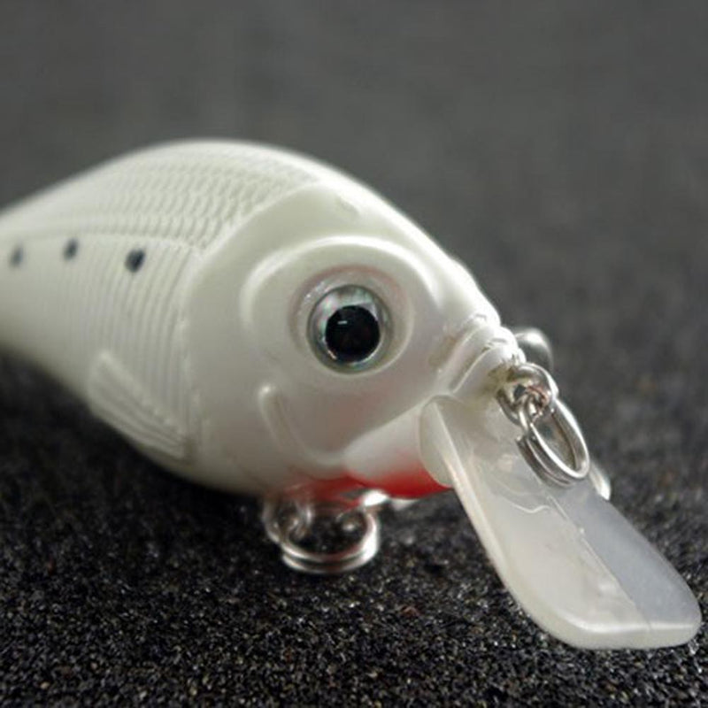 Night Fishing Bait Kit Luminous VIB Popper Crank Minnow Pencil Glow Lure