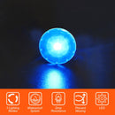 Running Lights 6pcs Running Jogging LED Safety Clip-on Light (Red Blue Green)