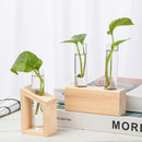 Crystal Glass Test Tube Vase Test Tube Vase Hydroponic Plants Wooden Stand