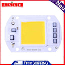 AC 220V/110V COB LED Lamp Chip 50W 30W 20W Smart IC Driver High Lumens f
