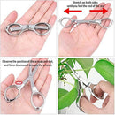 Plant Plant Transplant Tool Basic Bonsai Tools Gardening Tools Kit Digging Tool