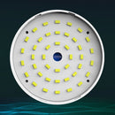 Solar Camping Light Bluetooth-compatible Audio Outdoor Tent Lamp (Blue) Newly