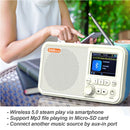 C10 2.4 inch Color LCD Screen Digital Desktop Alarm Clock DAB DAB+ FM Radio