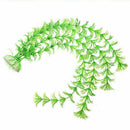 Aquatic plant Live Aquatic Aquarium Tropical Tank Plants C9T7 3 V5Q6 of I9D6