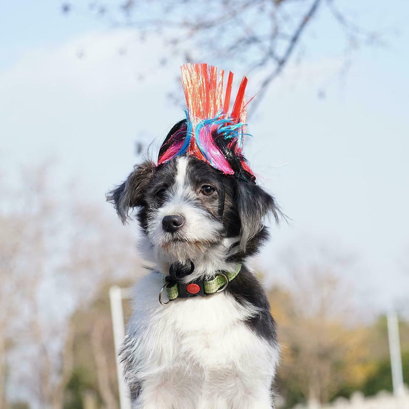 Halloween Dog Cat Clothes Wig Caps Small Dog Costumes Wig Gift Christmas T8S0