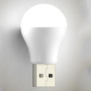 USB Night Bulb Portable Small Book Lamps LED Reading Light (White Light)