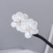 Easy To Use Hair Styling Tool Accessories Hairpin Hair Bun Maker Headband