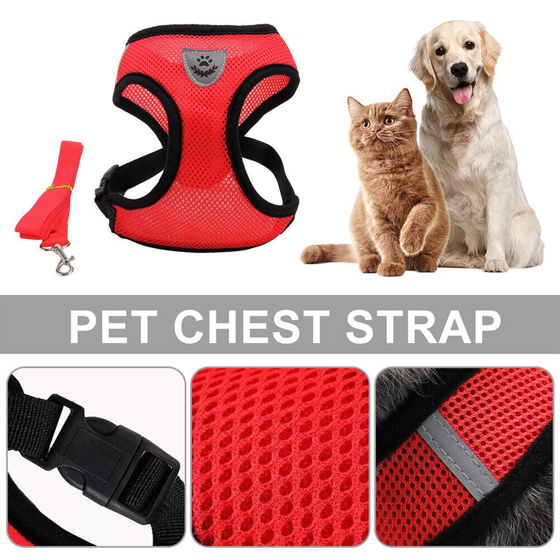 Polyester Cat Dog Harness Breathable Walking Lead Leash Dog Cat Vest for Outdoor