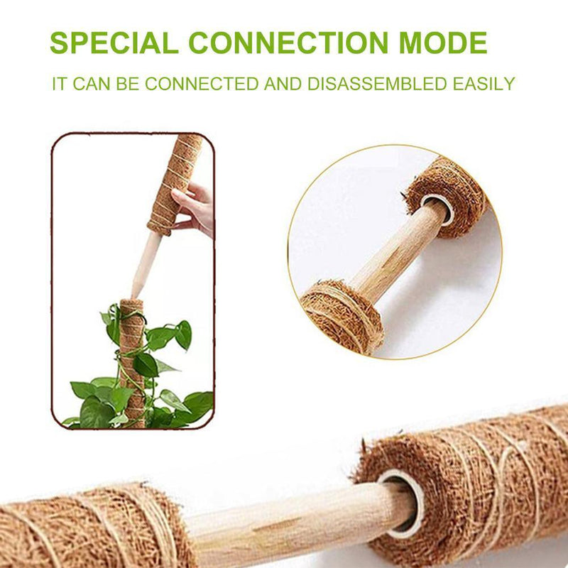 Coconut Palm Stick - Plant Supporting Poles Plant Climbing Vine (30cm)