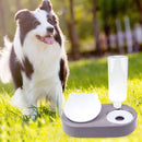 2 in 1 Pet Cat Feeder Bowl Automatic Drinking Water Puppy Bowl (Purple) Newly