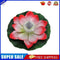 Lotus Solar Lights Flower Float Waterproof Outdoor Pond Pool Decor (Pink)