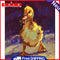 Oil Paint Chicken And Duck By Numbers Coloring Picture Drawing