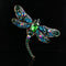 Women Insect Brooch Pin Corsage Dragonfly Brooches Dress Coat Accessories