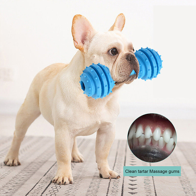 Dog Toys Pet Molar Teeth Stick Bite Sound Interactive Training Ball (Blue) Newly