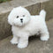 Realistic White Teddy Dog Simulation Dog Puppy Lifelike H9V0 Handmade W9Y9 E6B4