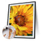 Oil Paint By Numbers Sunflower Frameless Picture Craft Kit for Living Room Home