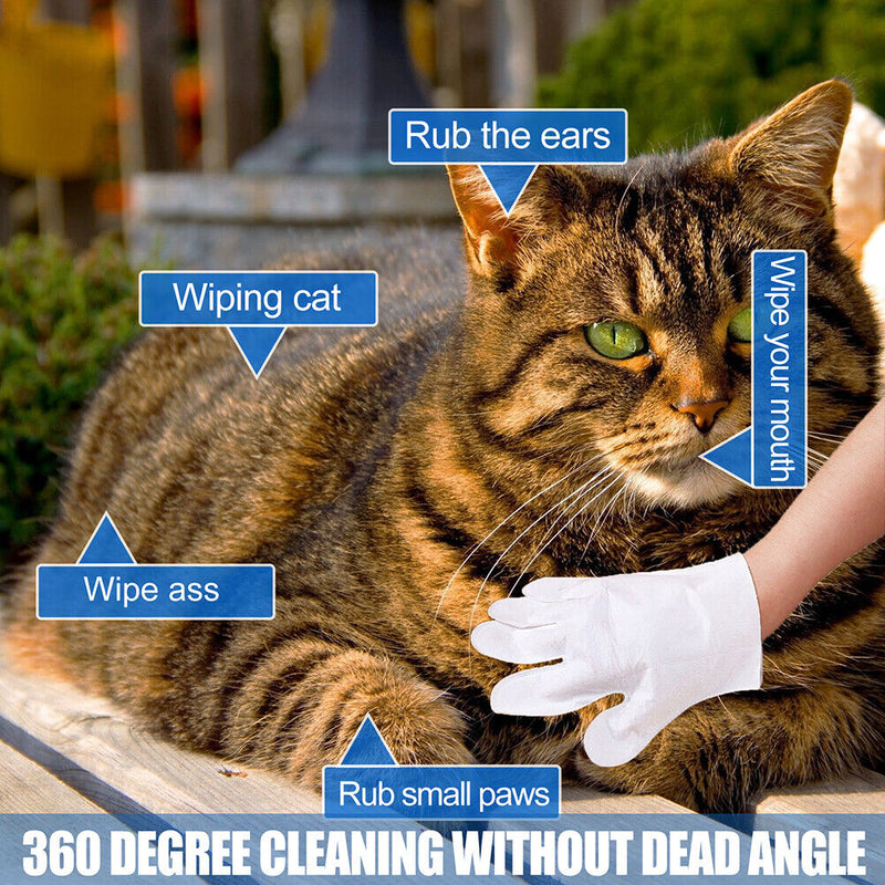 6pcs Cats Dogs Grooming No Rinse Disposable Cleaning Massage Gloves Pet Produ