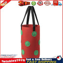 Felt Grow Bags Display Pockets DIY Hanging Strawberry Plant Bag (Red) Newly
