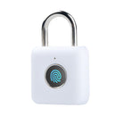 Smart Fingerprint Padlock Keyless Anti Theft Security Garden Shed Door Pad Lock`