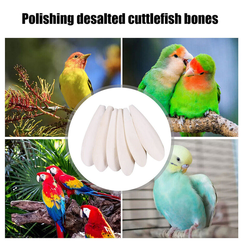 Cuttlefish Bone Parrot Bird Chew Toys Parrot Hamster Parakeet Molar Cuttleb