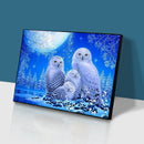 5D Full Round Diamond Painting White Owl Rhinestone Mosaic Home Wall Craft
