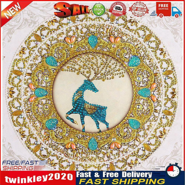 5D DIY Special Shaped Diamond Painting Mandala Cross Stitch Kits (DZ238) Newly